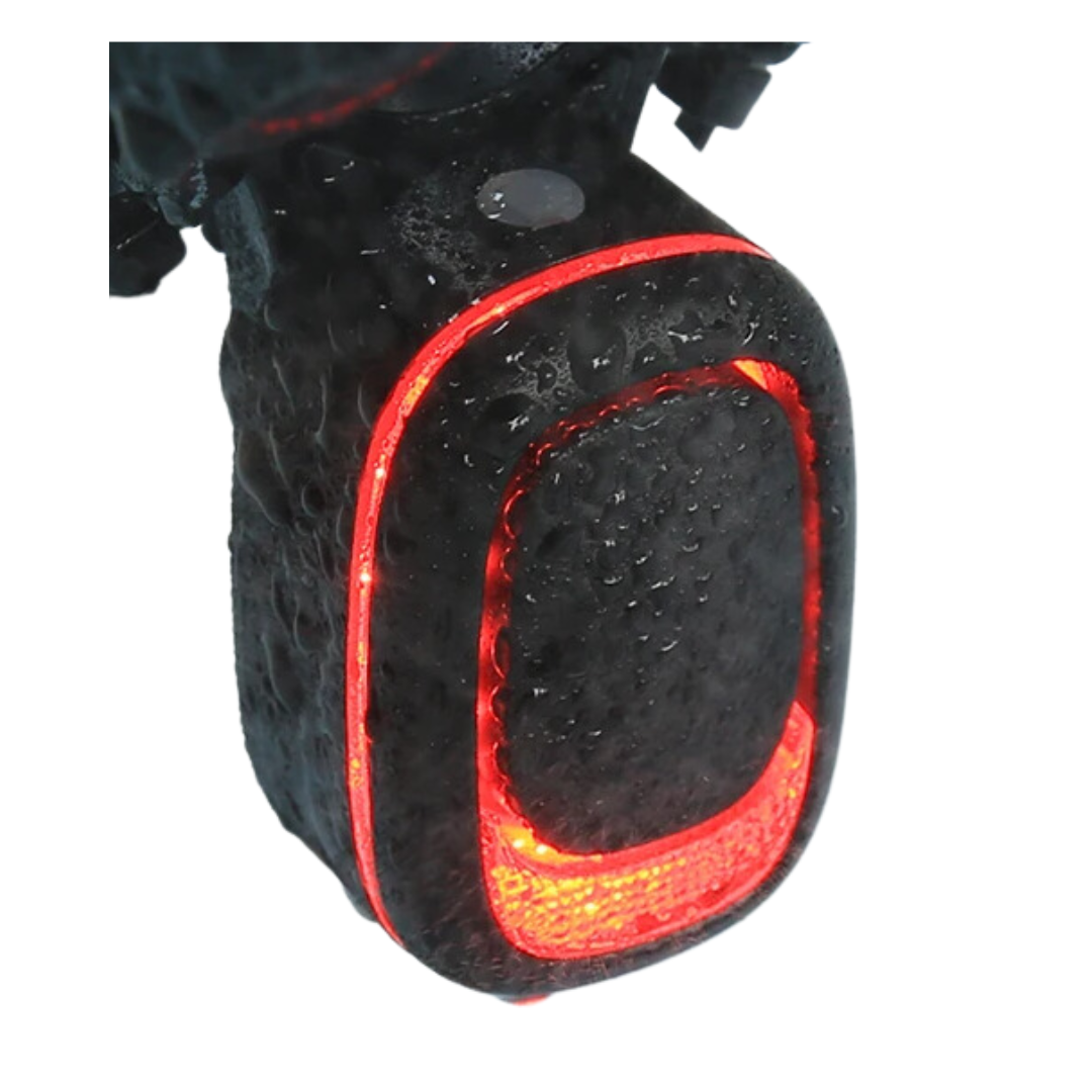 Alarme lumineuse